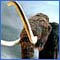 What does a frozen hairy mammoth have to do with a book?  Glad you Asked.  Read!